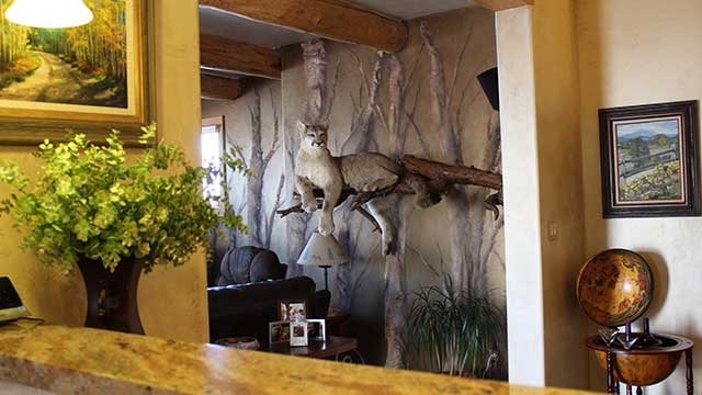 Full Palette Painting and Designs Grand Junction Colorado